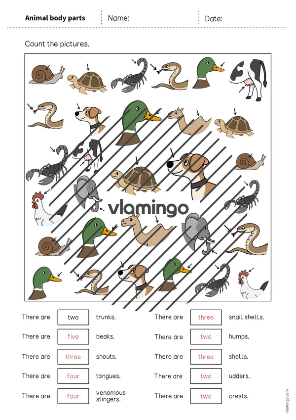de englisch animal body parts how many worksheet 008
