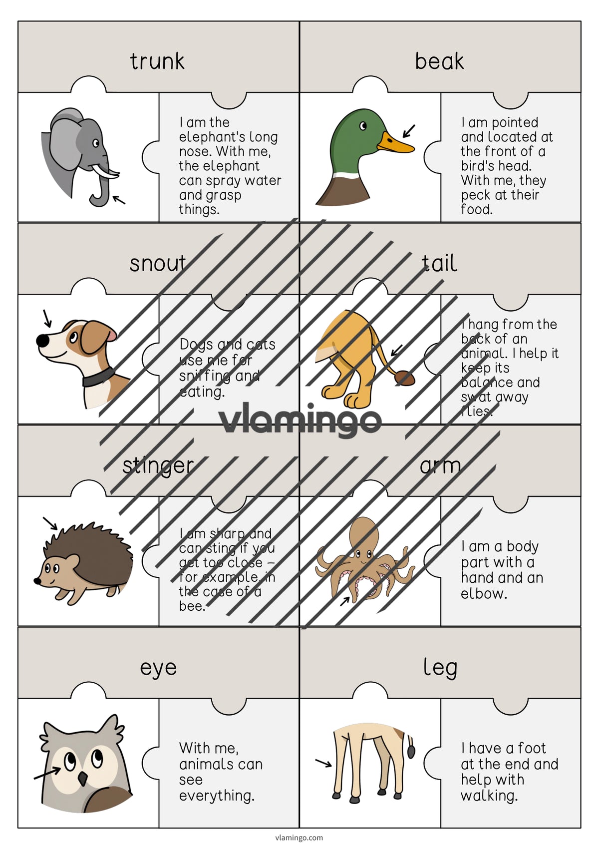 de englisch animal body parts puzzle 003