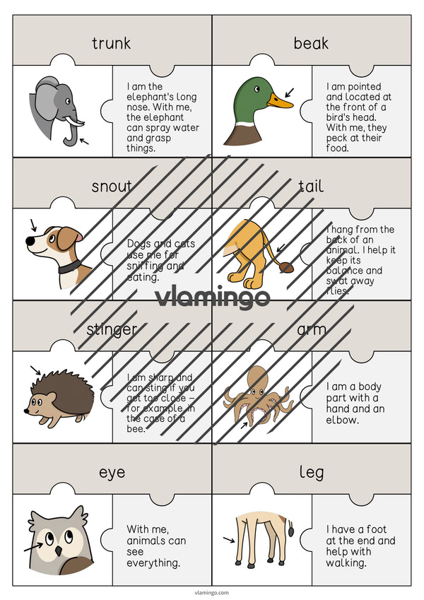de englisch animal body parts puzzle 003