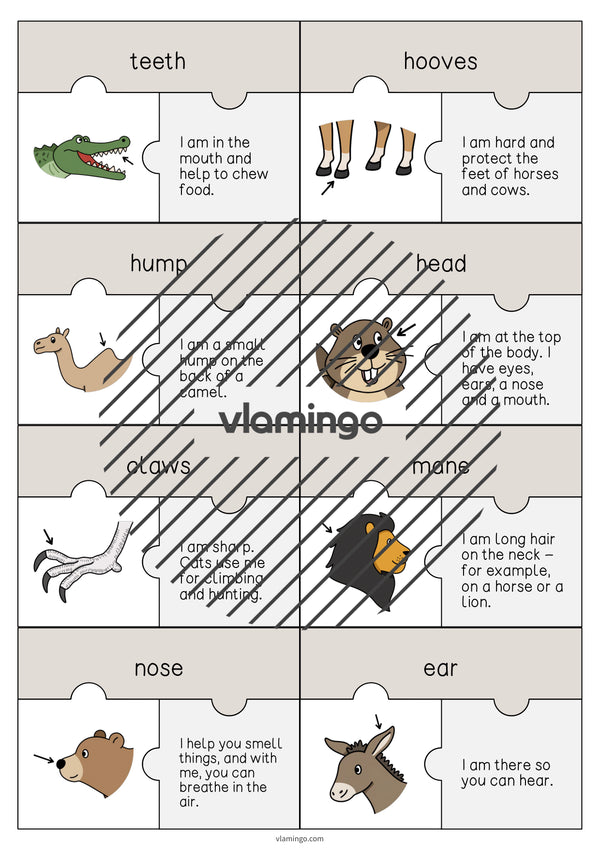 de englisch animal body parts puzzle 005