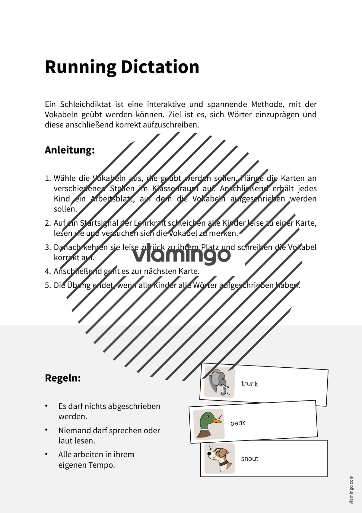 de englisch animal body parts running dictation 002
