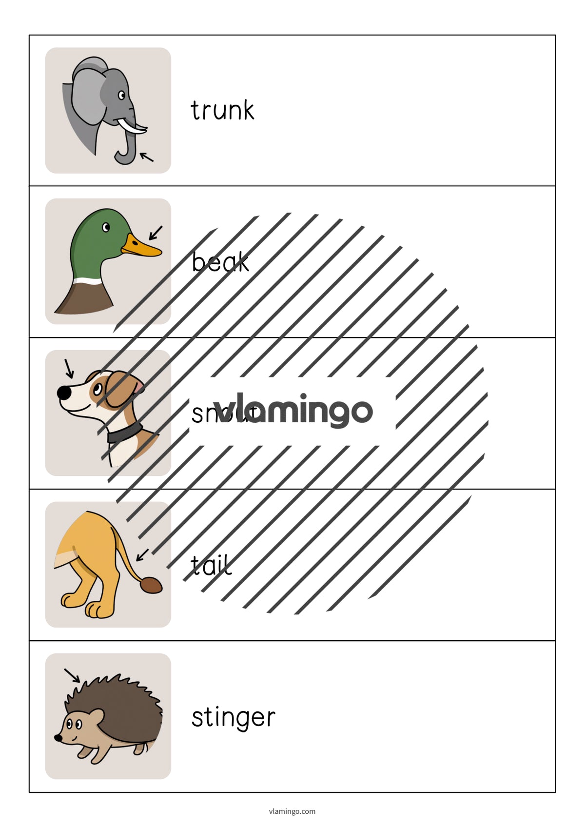 de englisch animal body parts running dictation 003