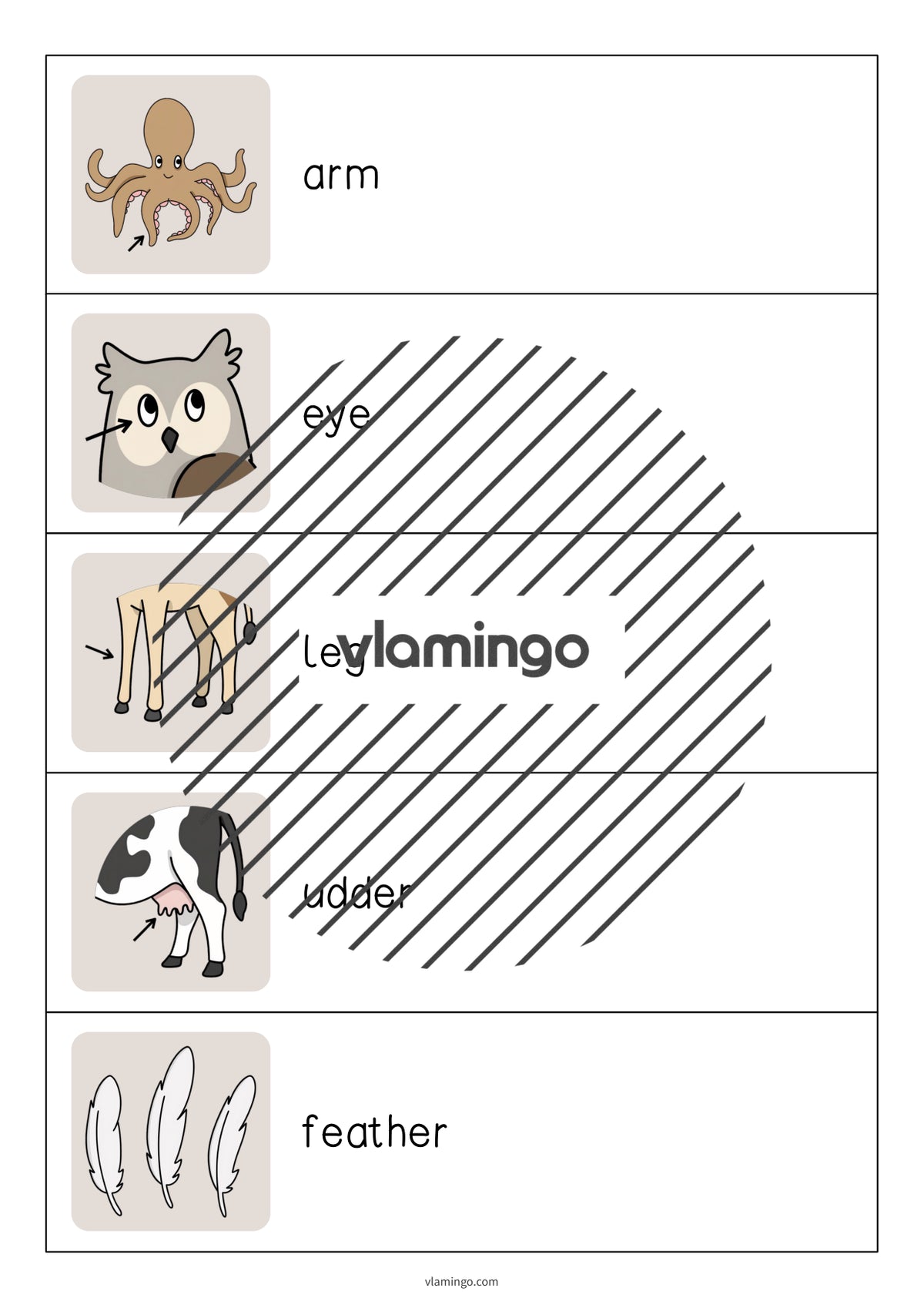 de englisch animal body parts running dictation 004