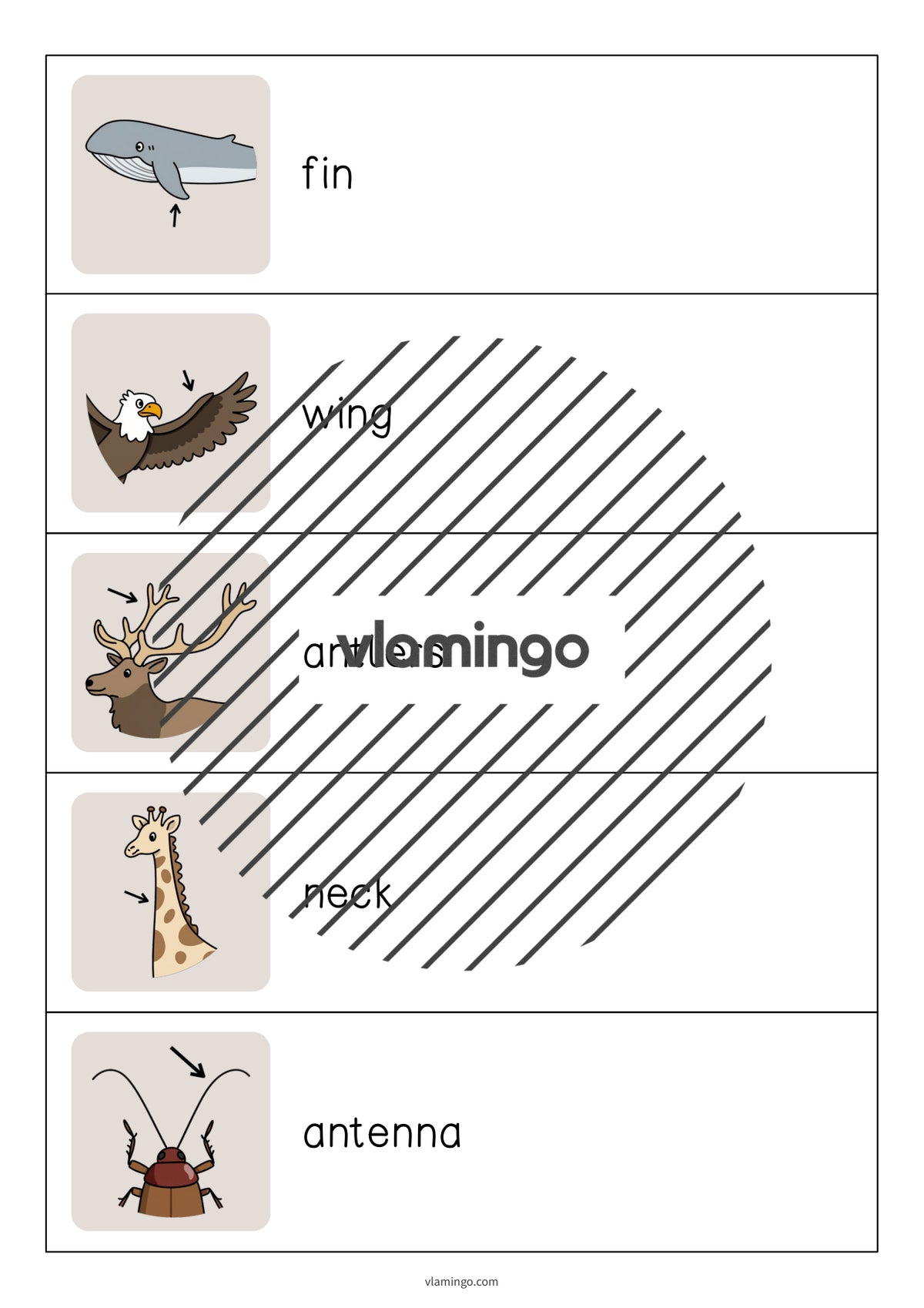 de englisch animal body parts running dictation 005