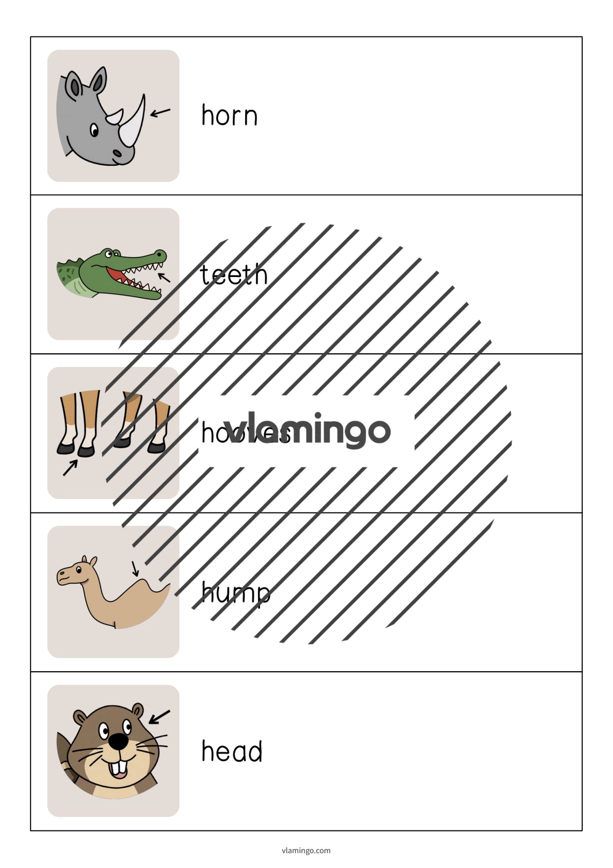 de englisch animal body parts running dictation 006