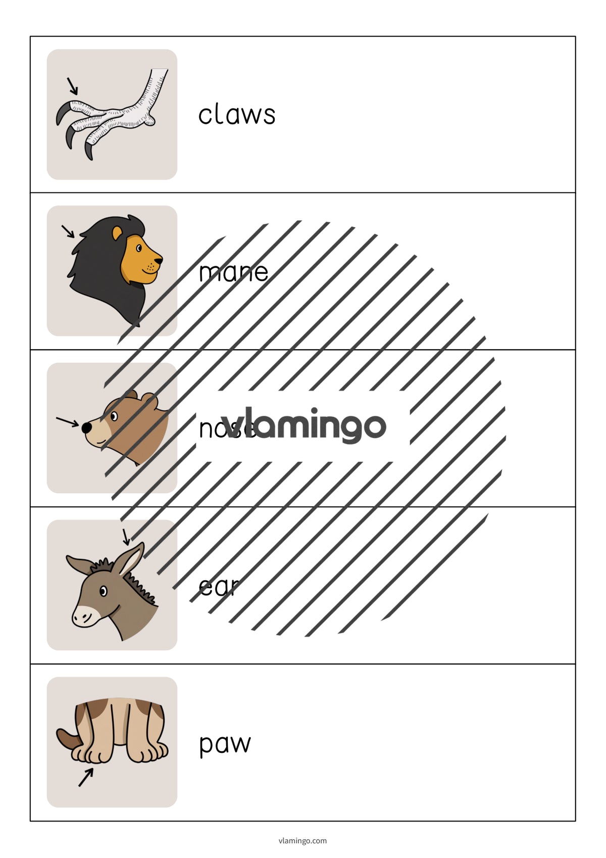 de englisch animal body parts running dictation 007