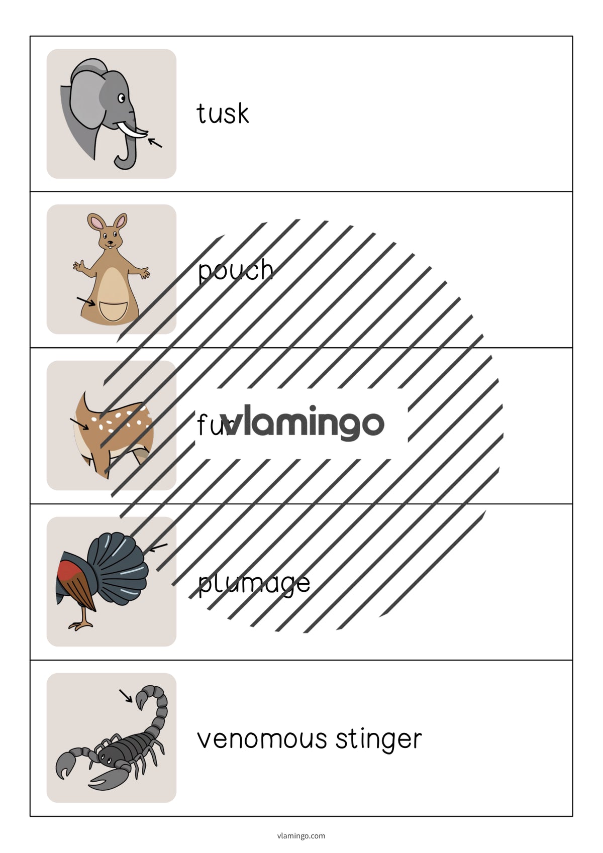 de englisch animal body parts running dictation 008