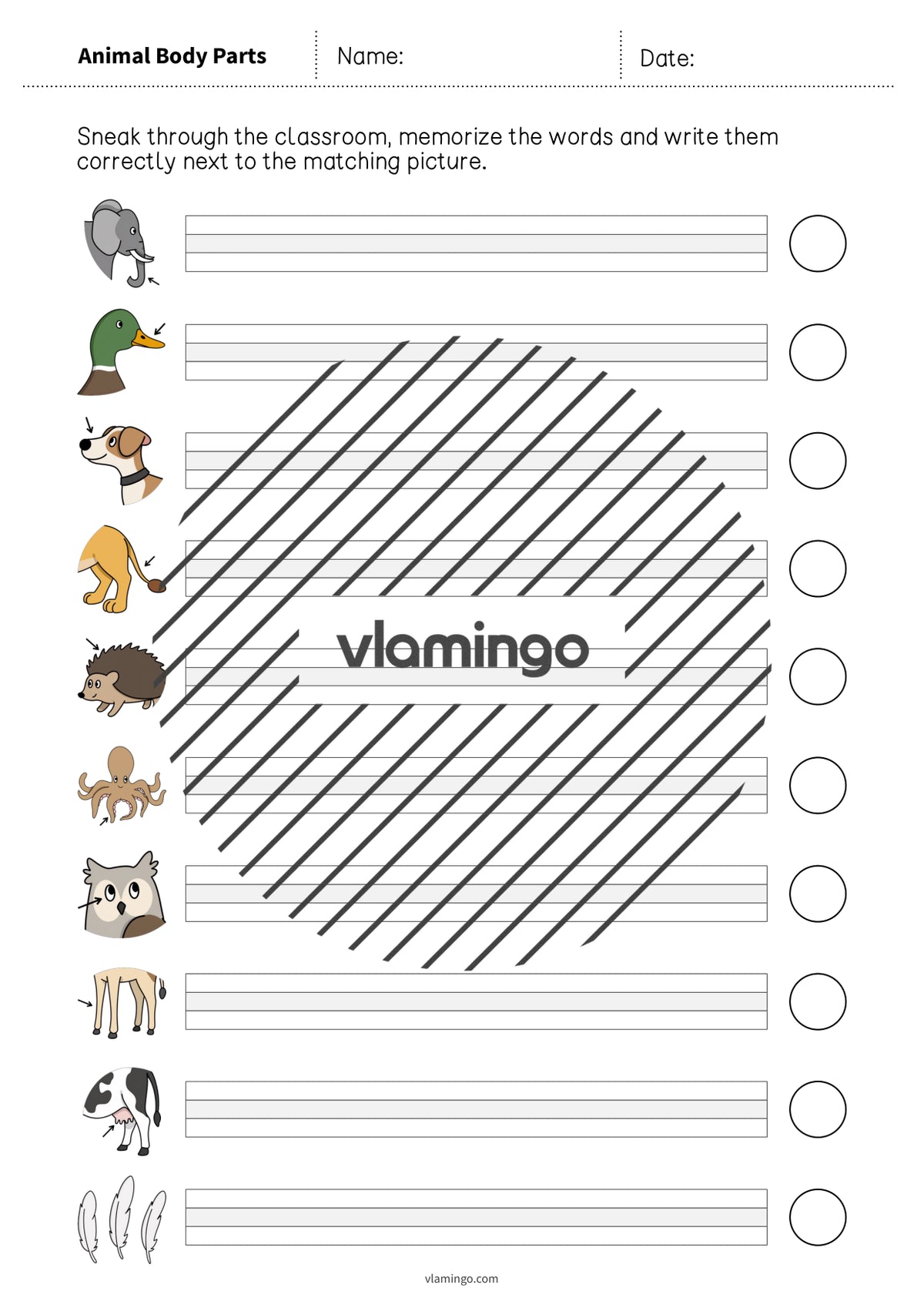 de englisch animal body parts running dictation 011