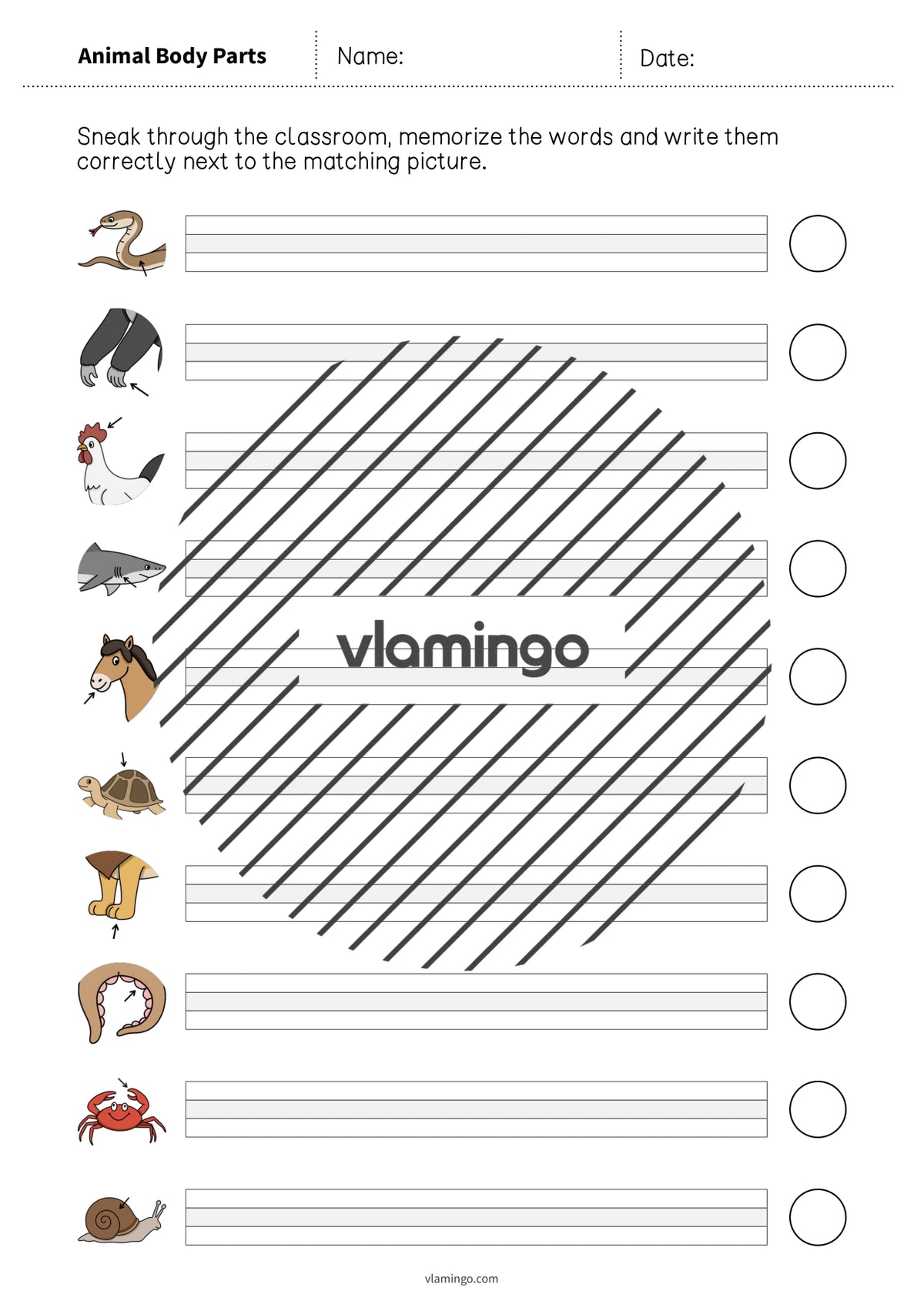 de englisch animal body parts running dictation 014