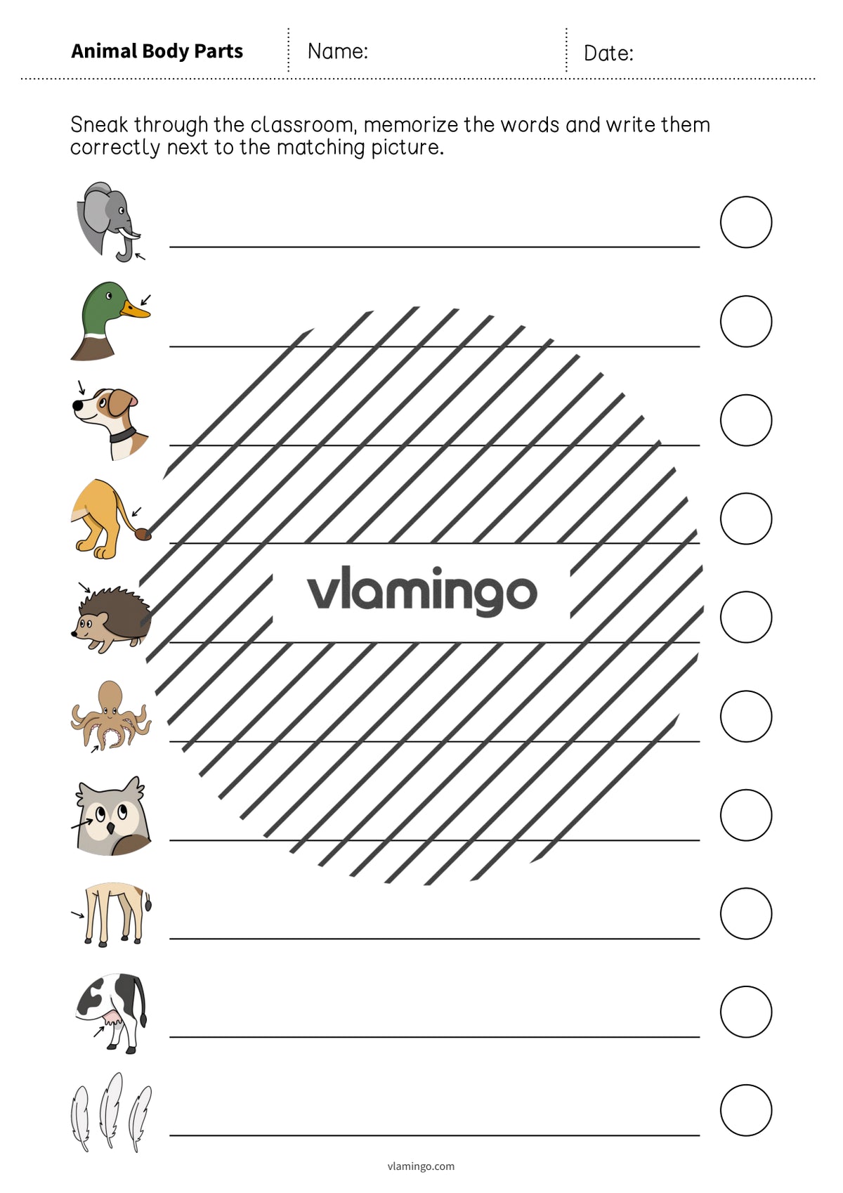 de englisch animal body parts running dictation 015
