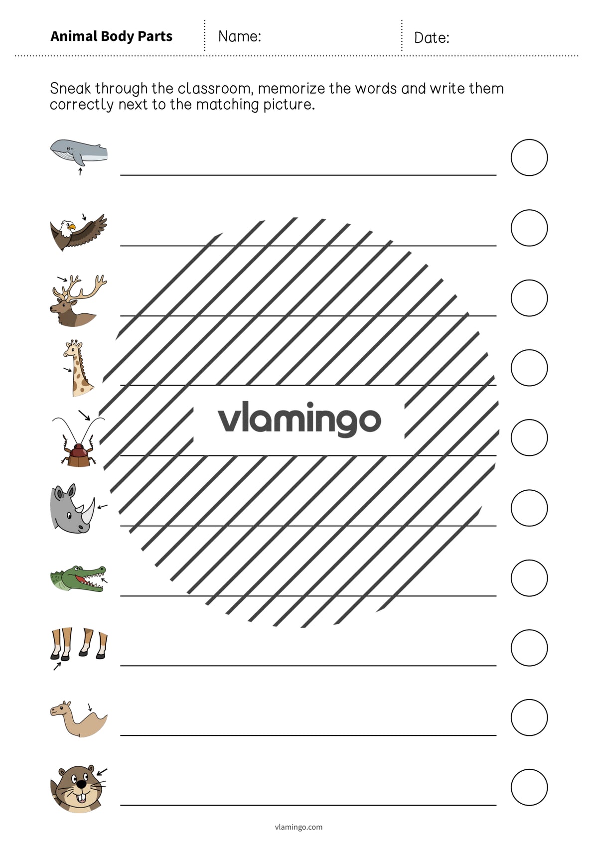 de englisch animal body parts running dictation 016