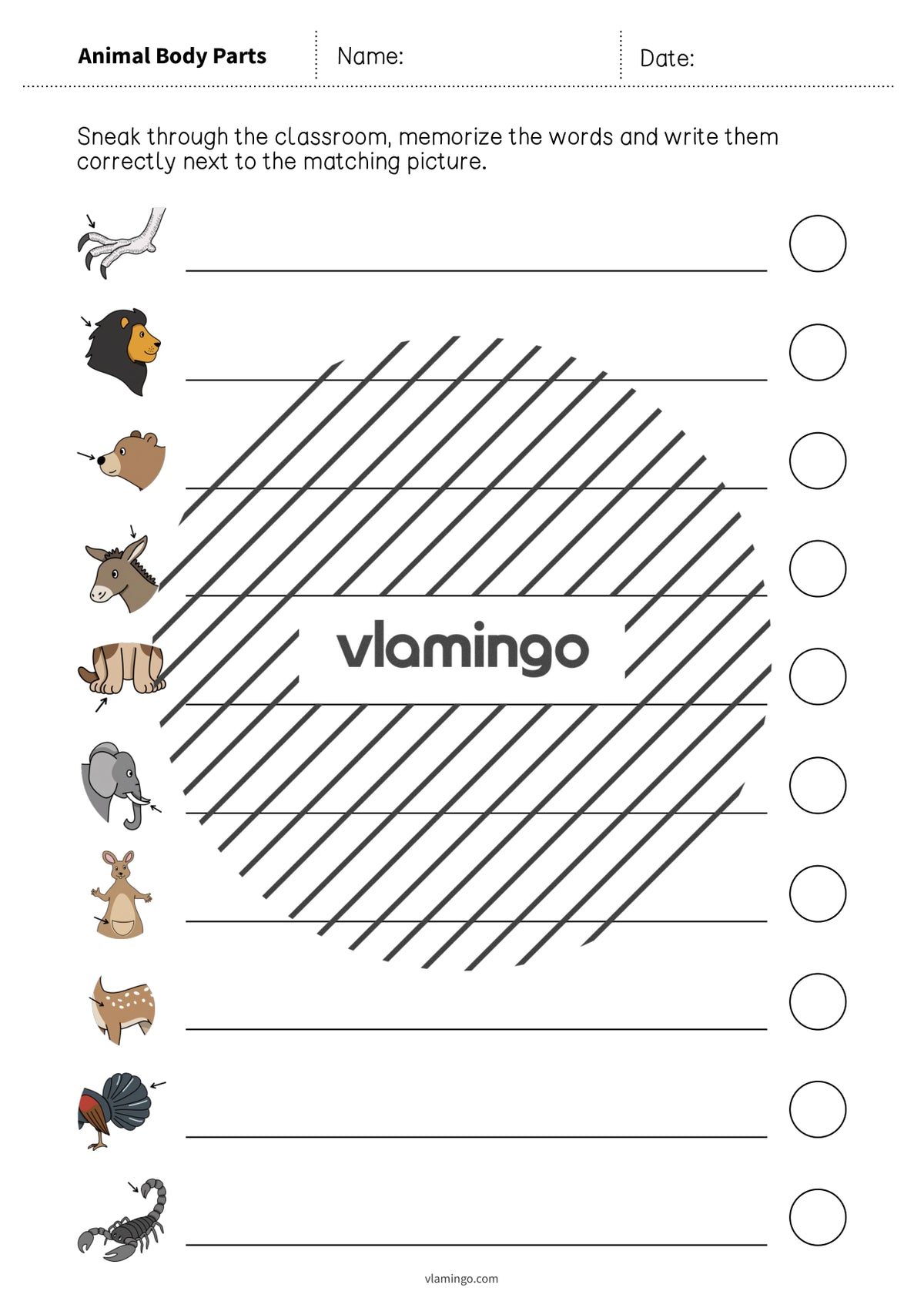 de englisch animal body parts running dictation 017