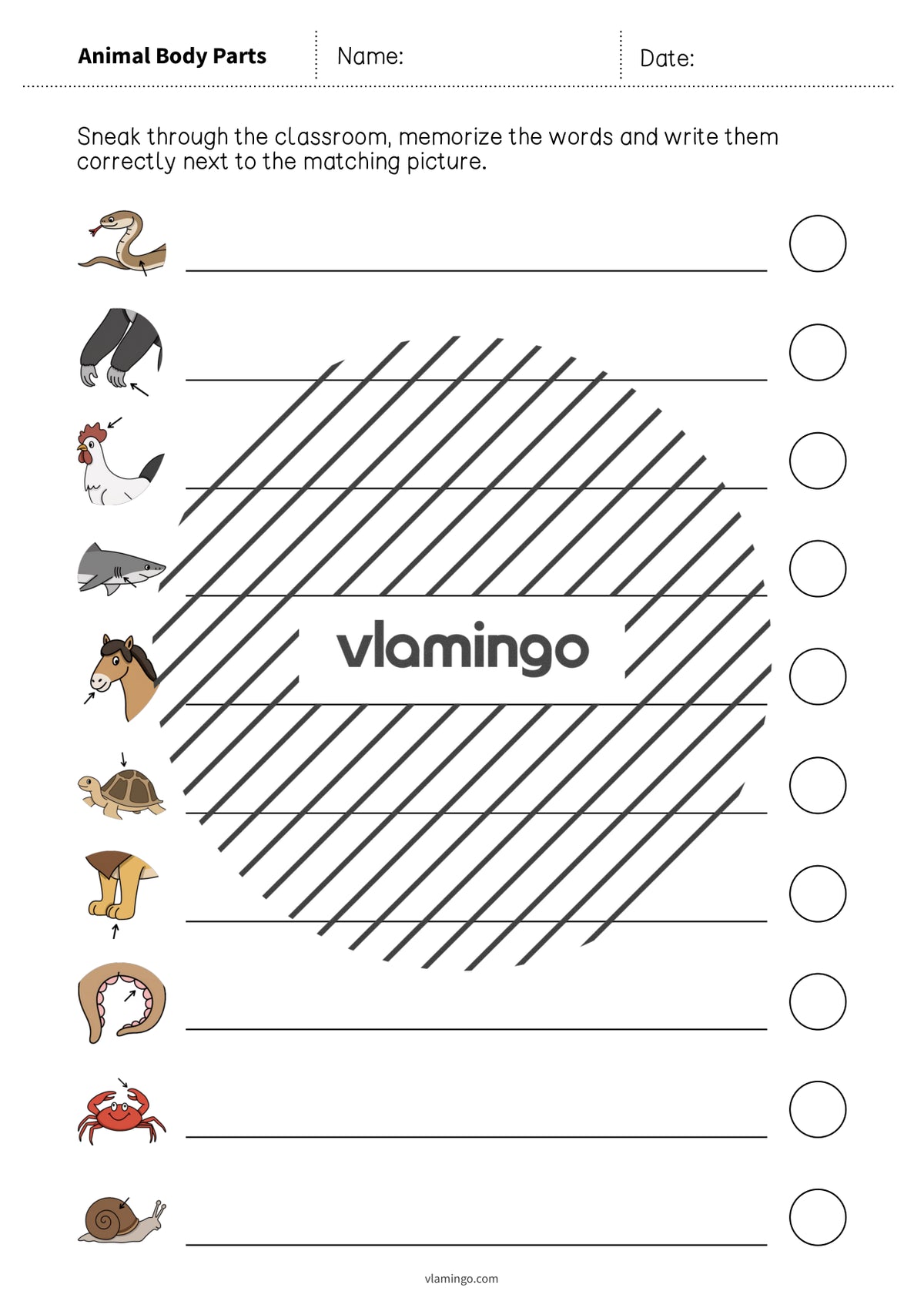 de englisch animal body parts running dictation 018