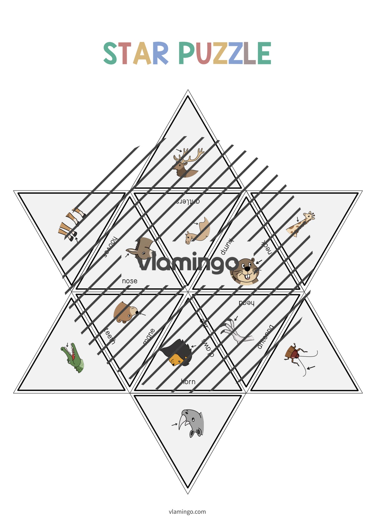 de englisch animal body parts star puzzle 011