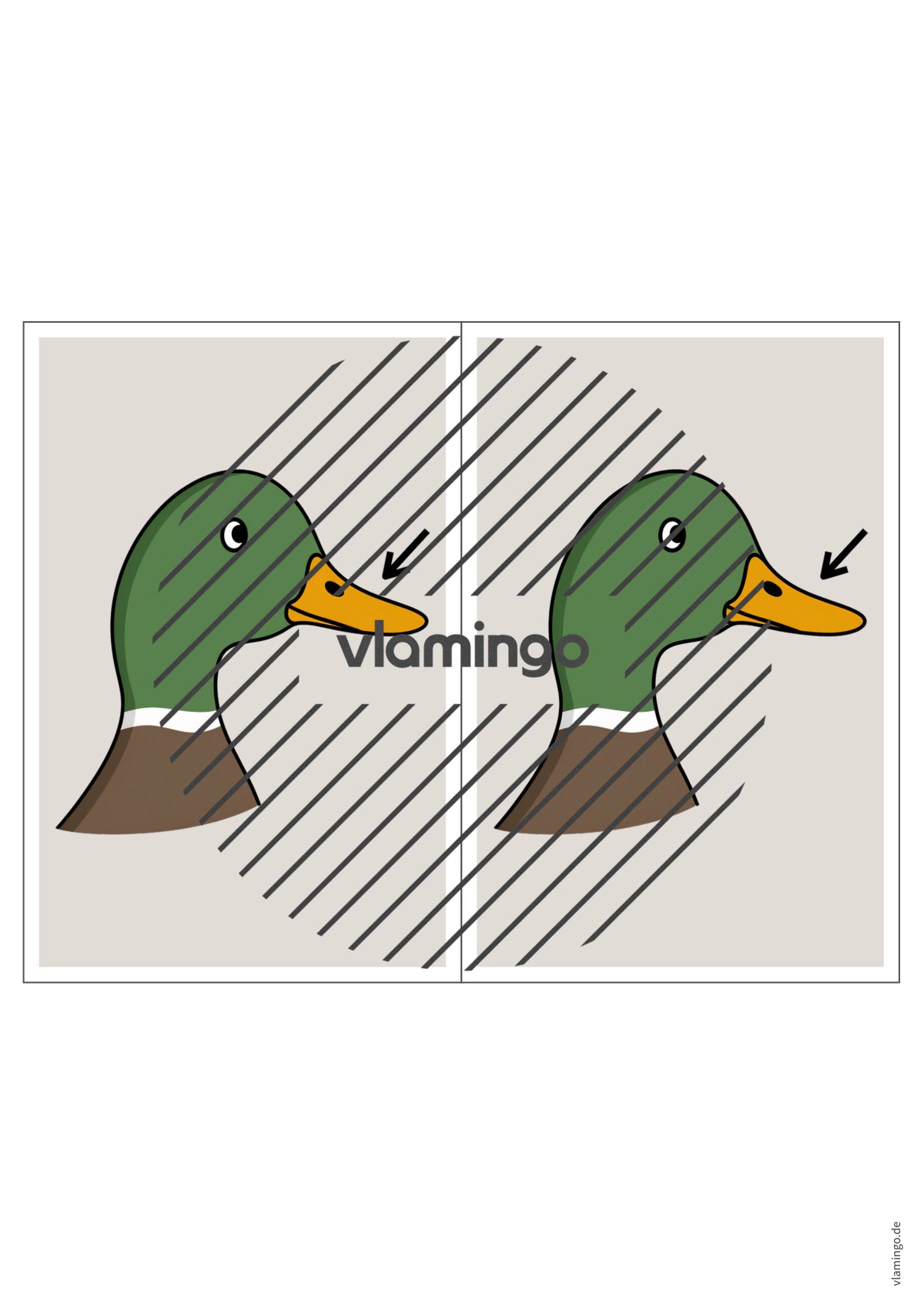 de englisch animal body parts station signs 004