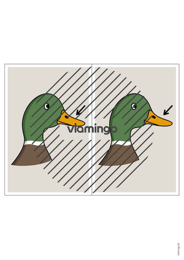 de englisch animal body parts station signs 004