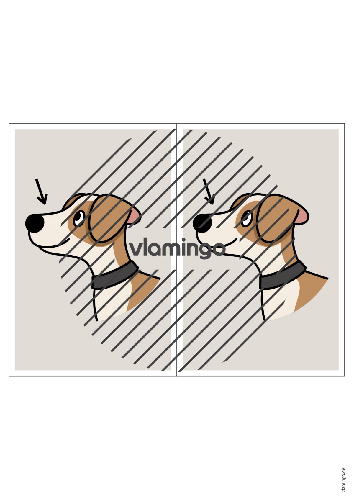 de englisch animal body parts station signs 005
