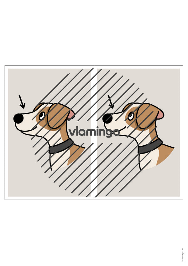 de englisch animal body parts station signs 005