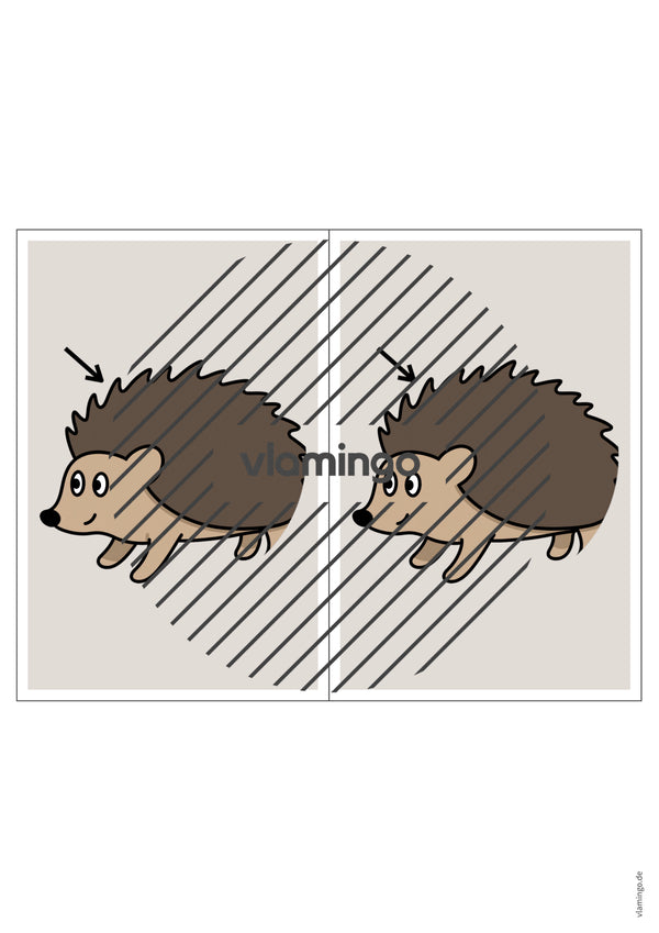 de englisch animal body parts station signs 007