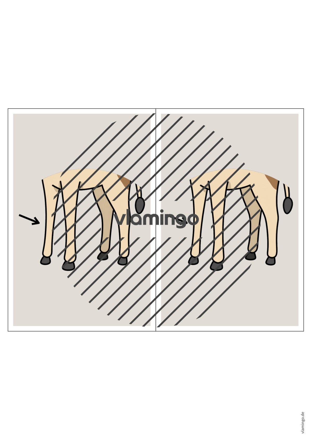 de englisch animal body parts station signs 010