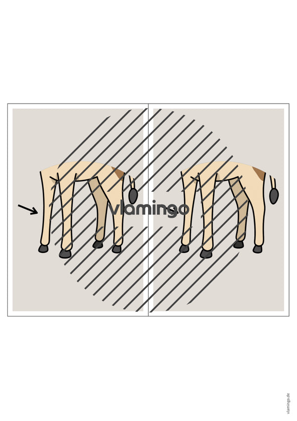 de englisch animal body parts station signs 010