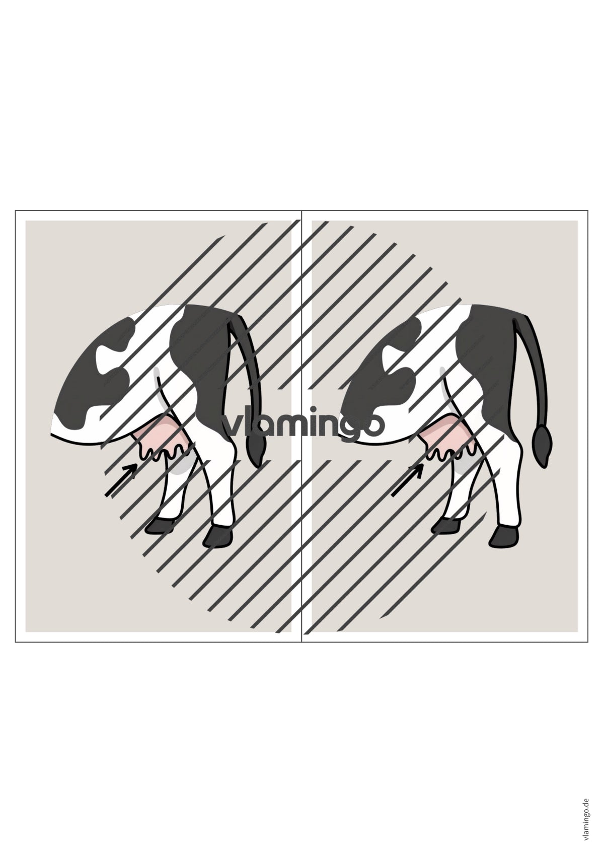 de englisch animal body parts station signs 011