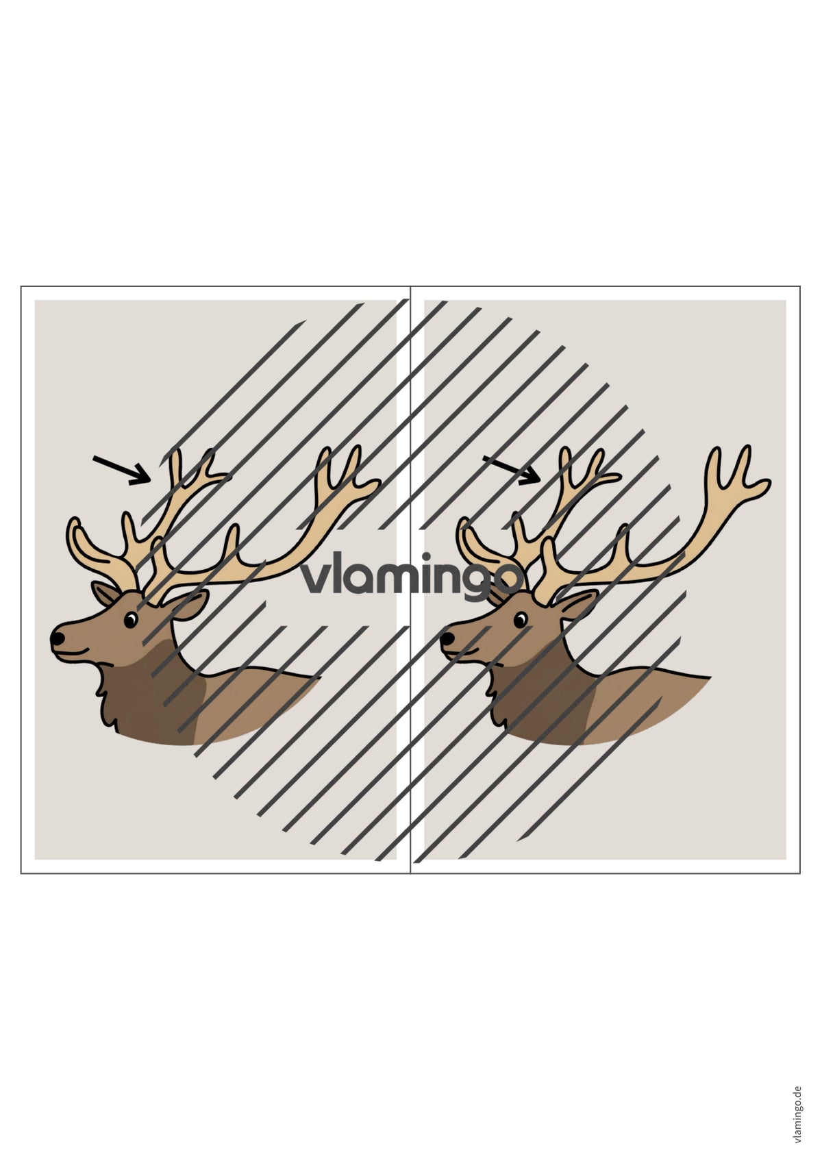 de englisch animal body parts station signs 015
