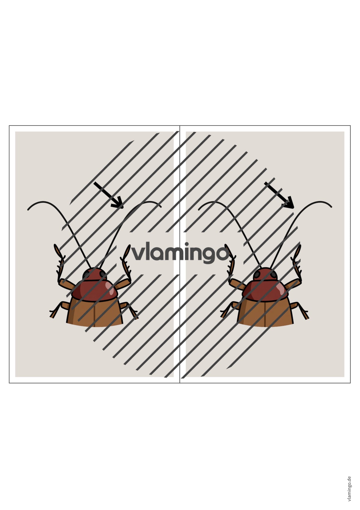 de englisch animal body parts station signs 017