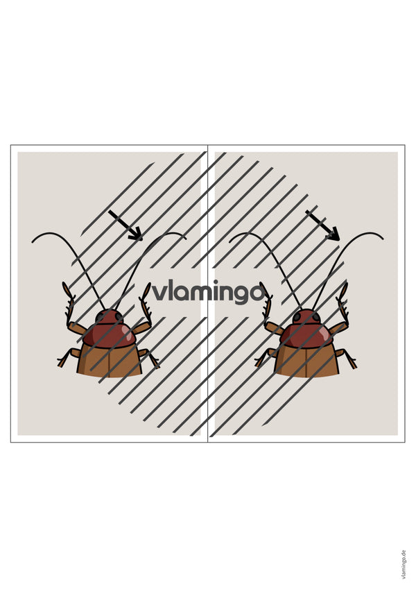 de englisch animal body parts station signs 017