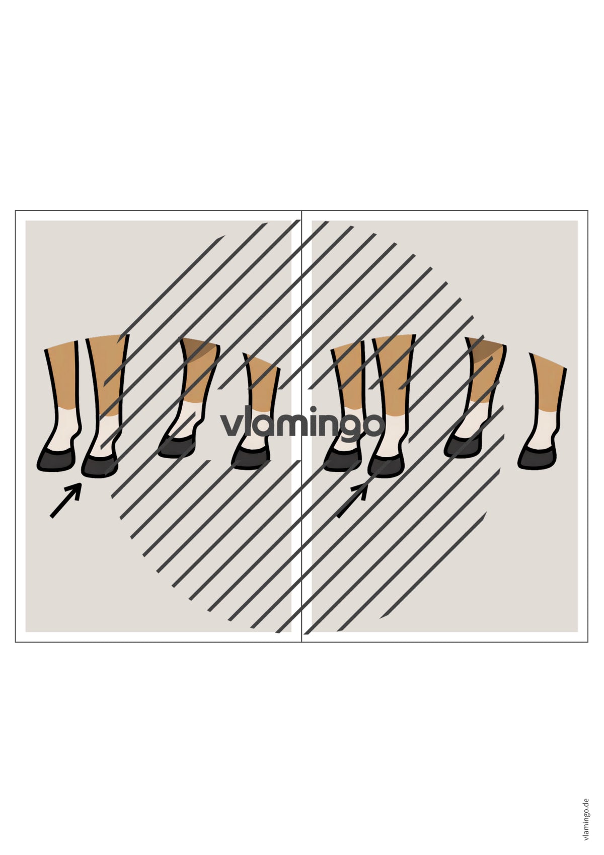de englisch animal body parts station signs 020