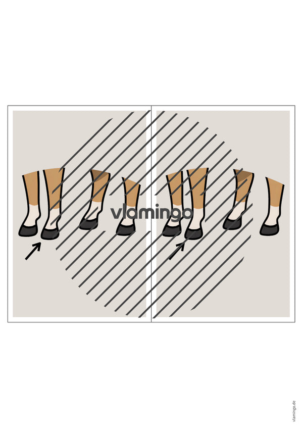de englisch animal body parts station signs 020