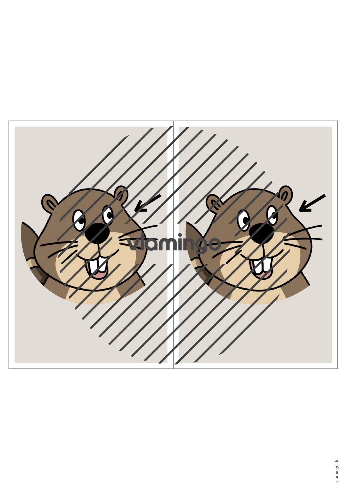 de englisch animal body parts station signs 022