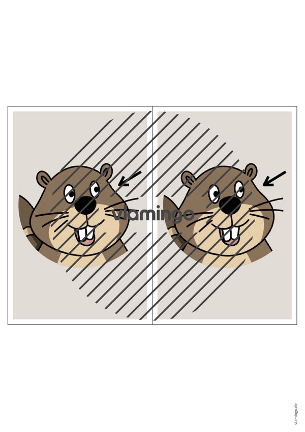 de englisch animal body parts station signs 022