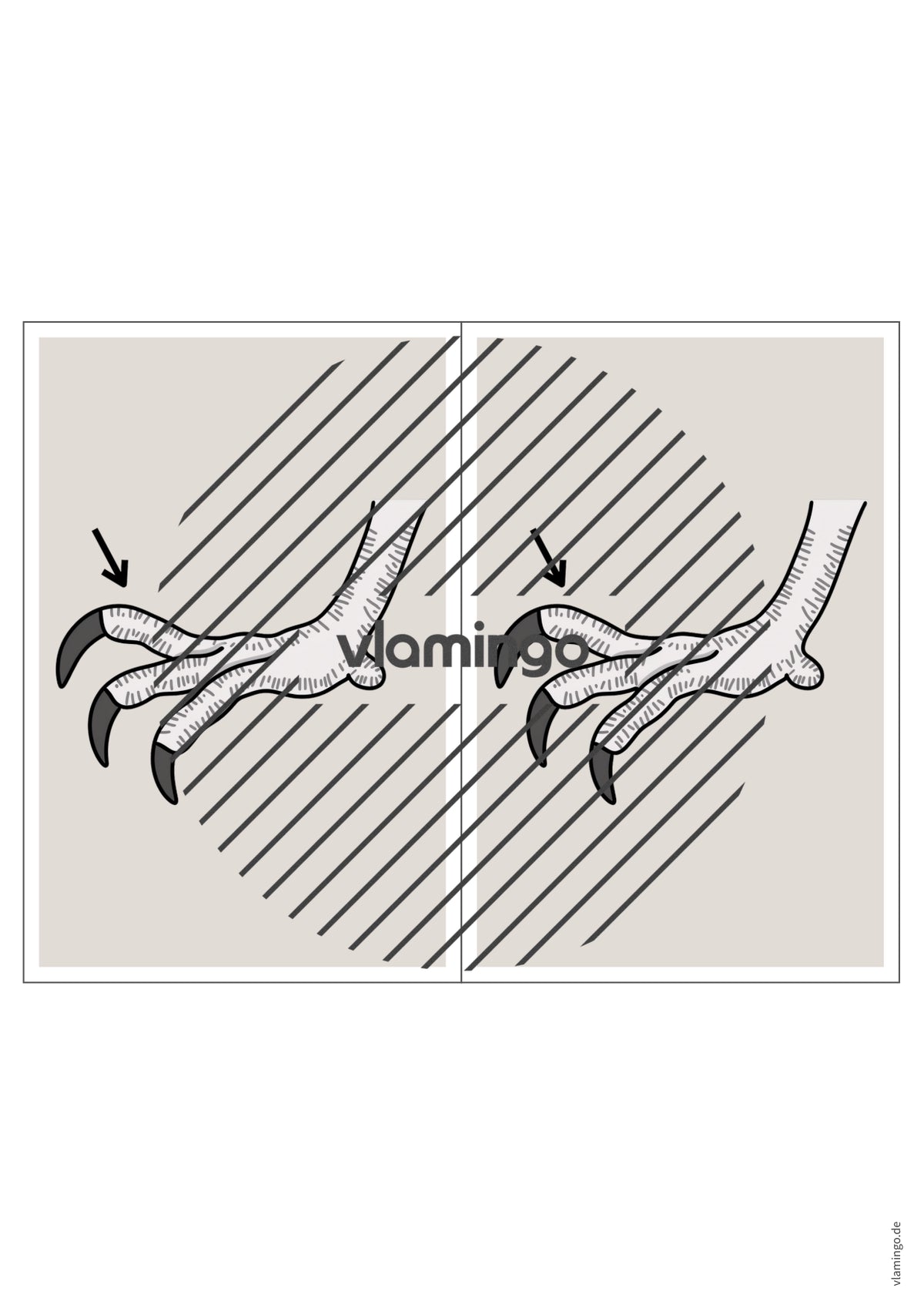 de englisch animal body parts station signs 023