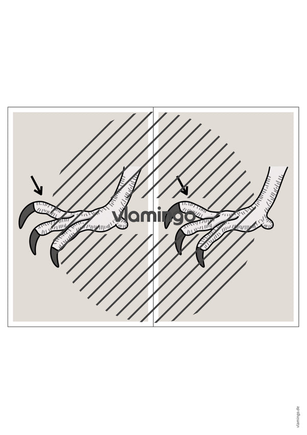 de englisch animal body parts station signs 023