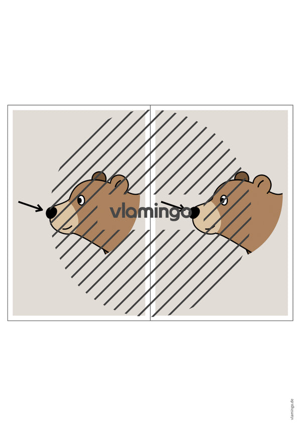 de englisch animal body parts station signs 025