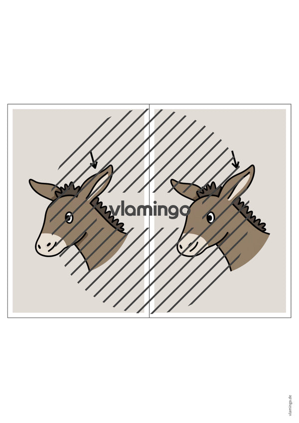 de englisch animal body parts station signs 026