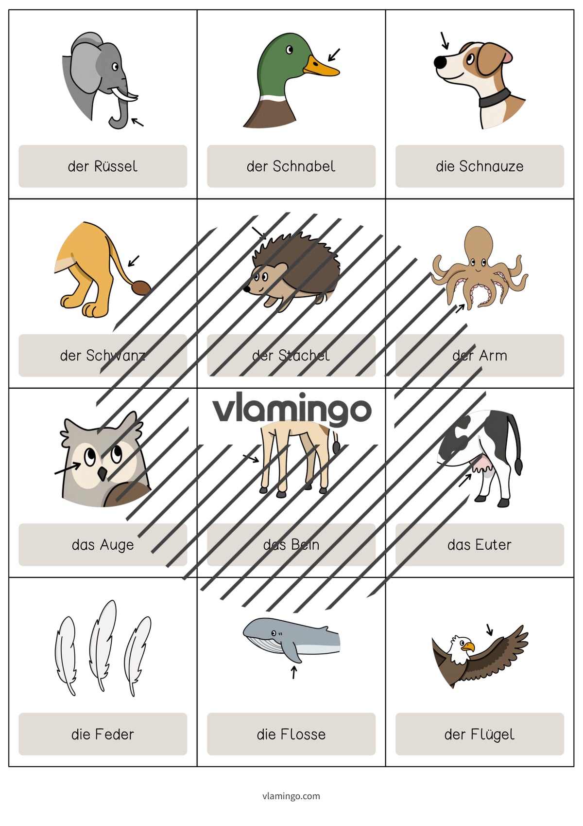 de englisch animal body parts vocabulary cards 003