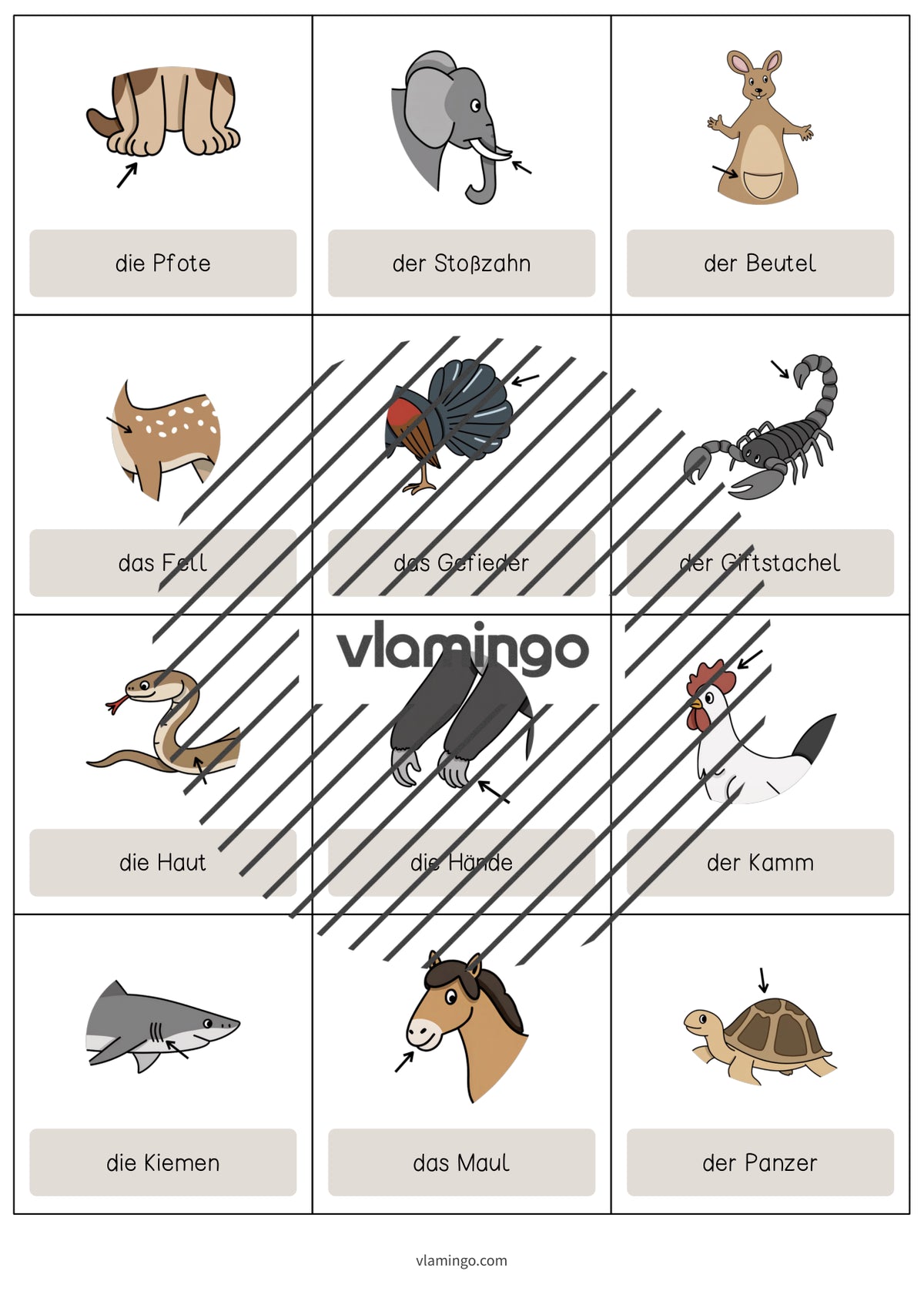 de englisch animal body parts vocabulary cards 007
