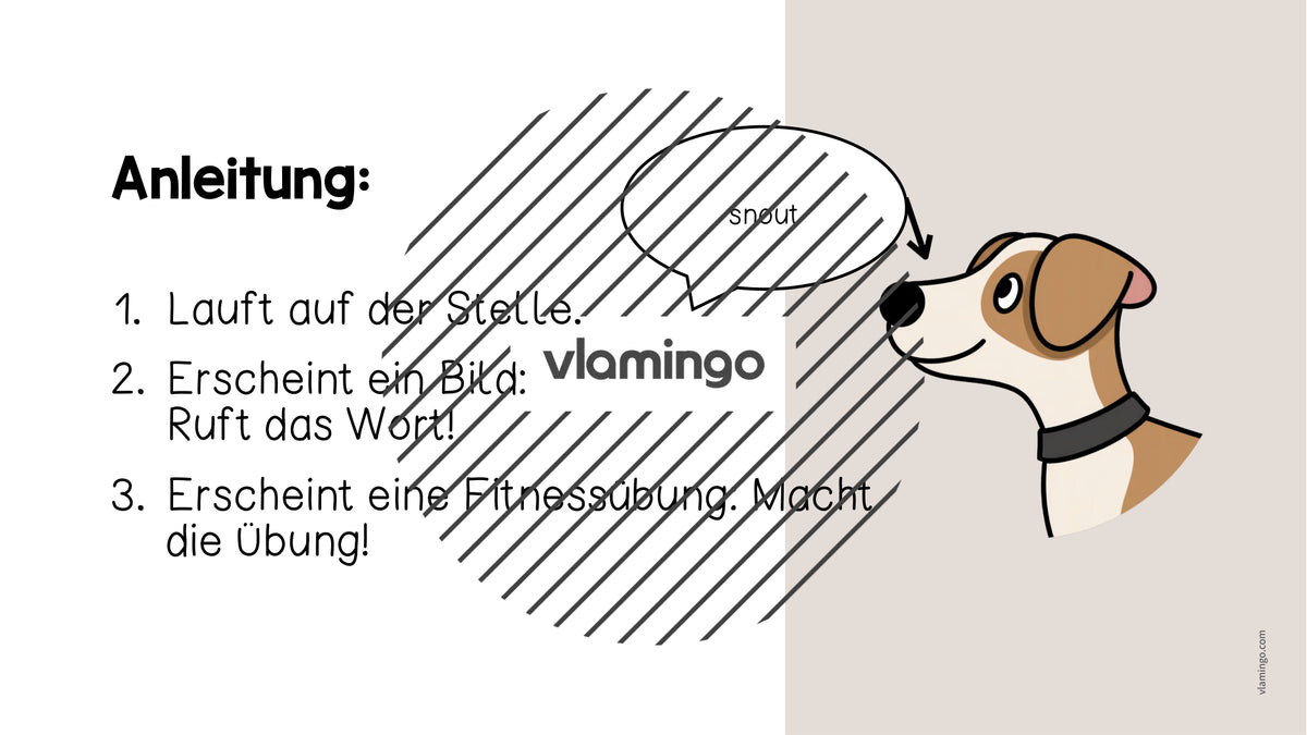 de englisch animal body parts vocabulary fitness powerpoint 002