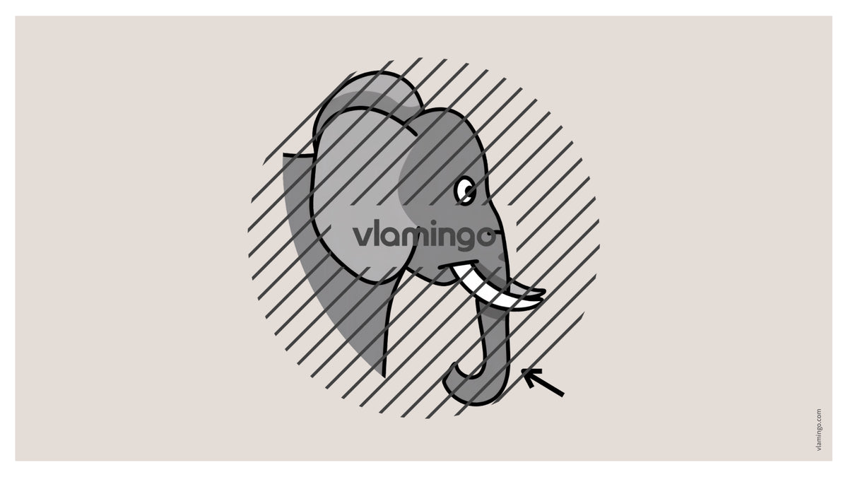 de englisch animal body parts vocabulary fitness powerpoint 004