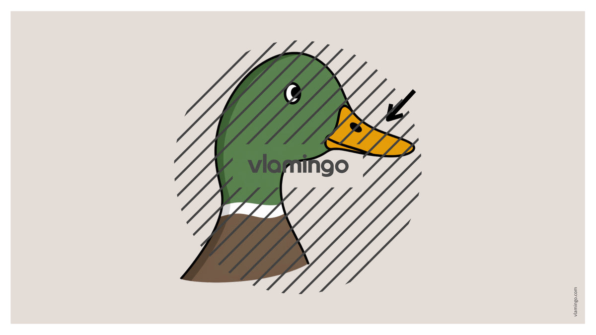 de englisch animal body parts vocabulary fitness powerpoint 005