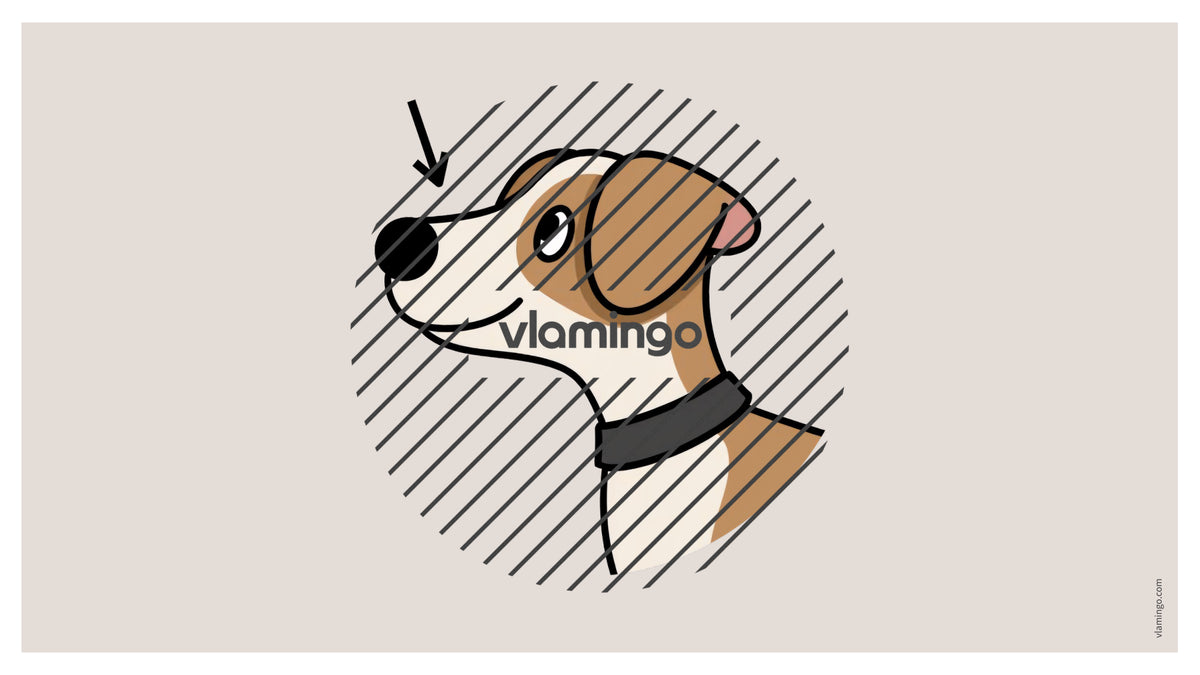 de englisch animal body parts vocabulary fitness powerpoint 006