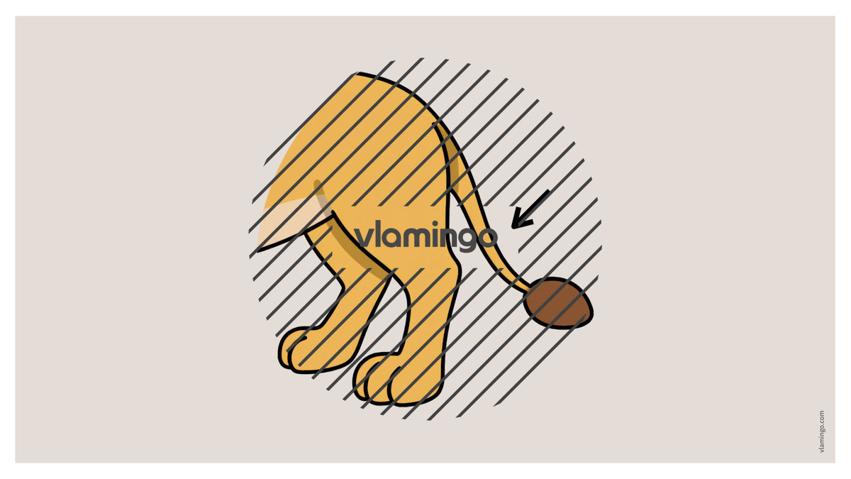 de englisch animal body parts vocabulary fitness powerpoint 008