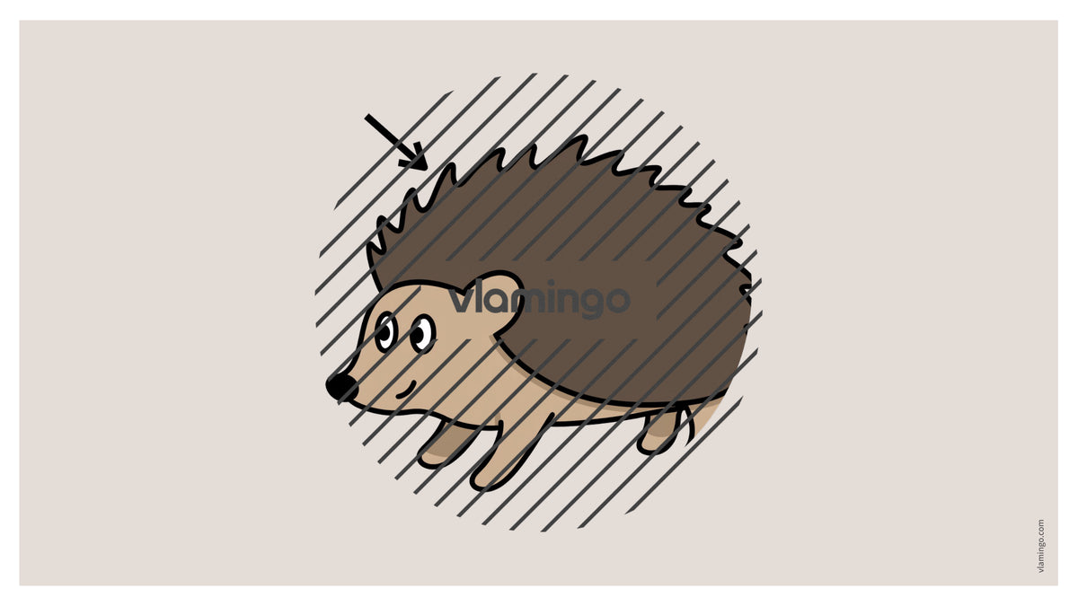 de englisch animal body parts vocabulary fitness powerpoint 009