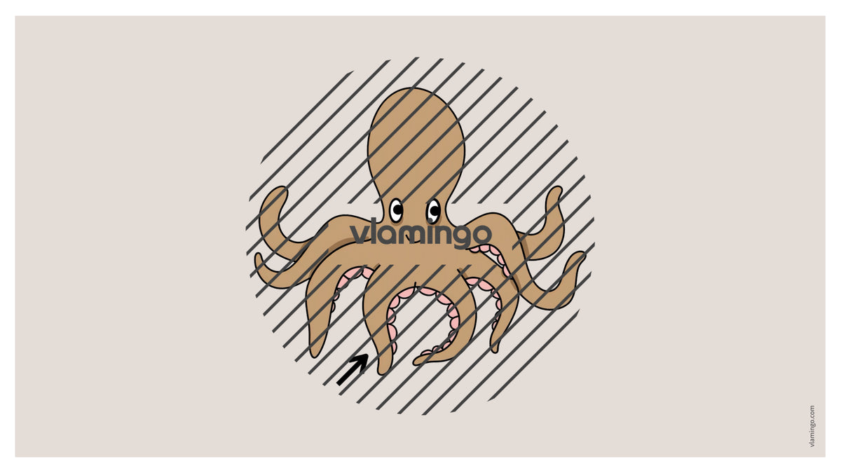 de englisch animal body parts vocabulary fitness powerpoint 010