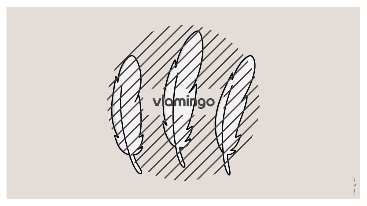 de englisch animal body parts vocabulary fitness powerpoint 016