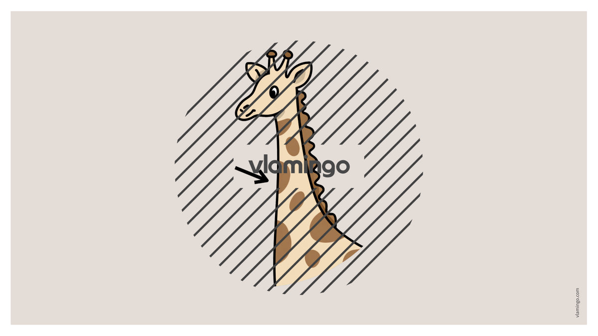 de englisch animal body parts vocabulary fitness powerpoint 021