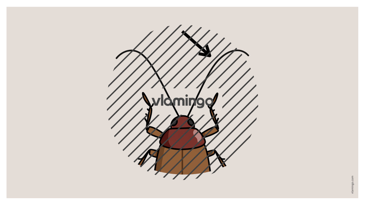de englisch animal body parts vocabulary fitness powerpoint 022