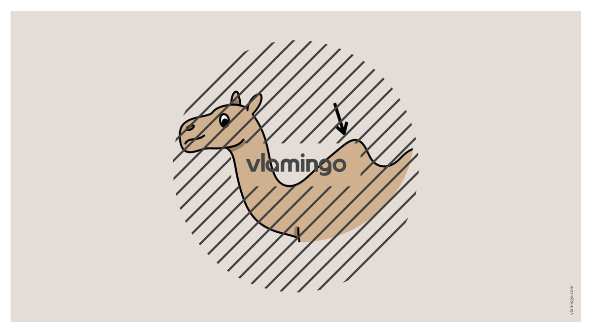 de englisch animal body parts vocabulary fitness powerpoint 028